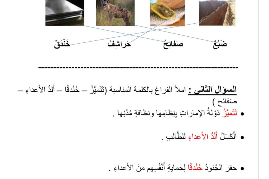 حل ورقة عمل السلحفاة اللغة العربية الصف الثاني