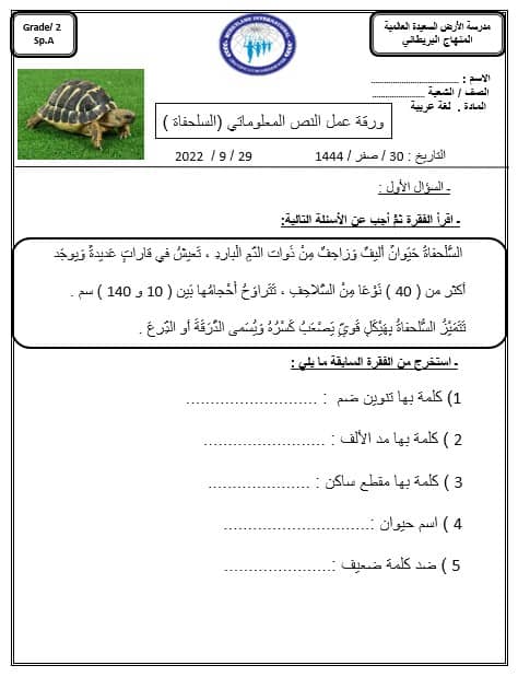 ورقة عمل السلحفاة اللغة العربية الصف الثاني