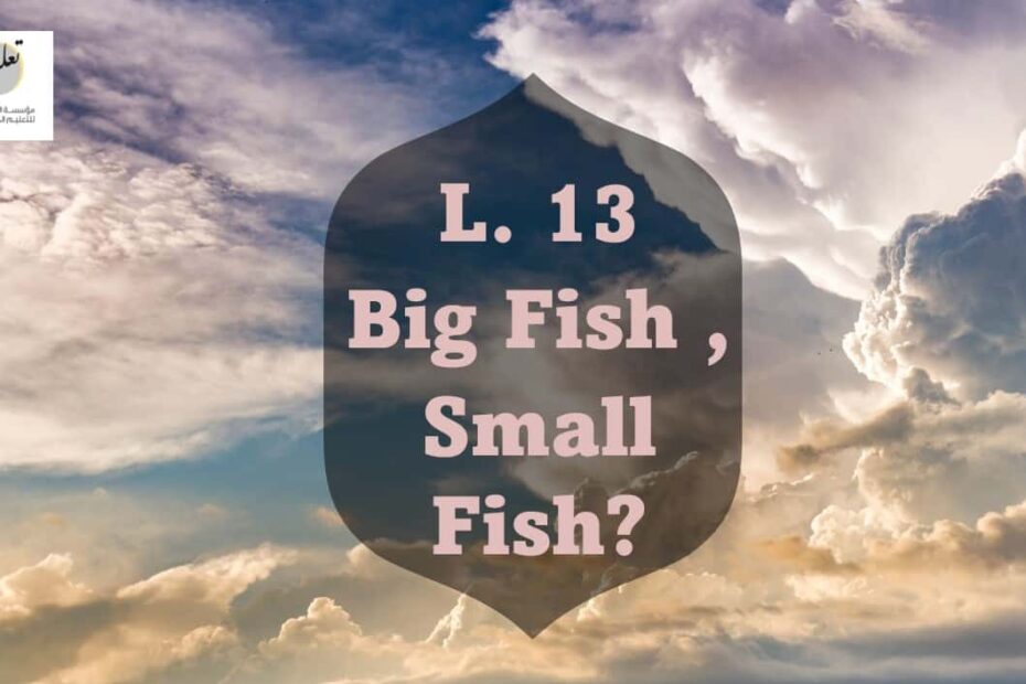 درس Big Fish Small Fish اللغة الإنجليزية الصف التاسع - بوربوينت