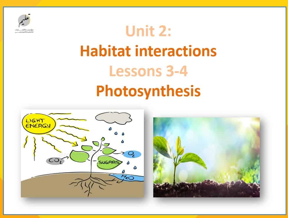 حل درس Photosynthesis اللغة الإنجليزية الصف التاسع - بوربوينت