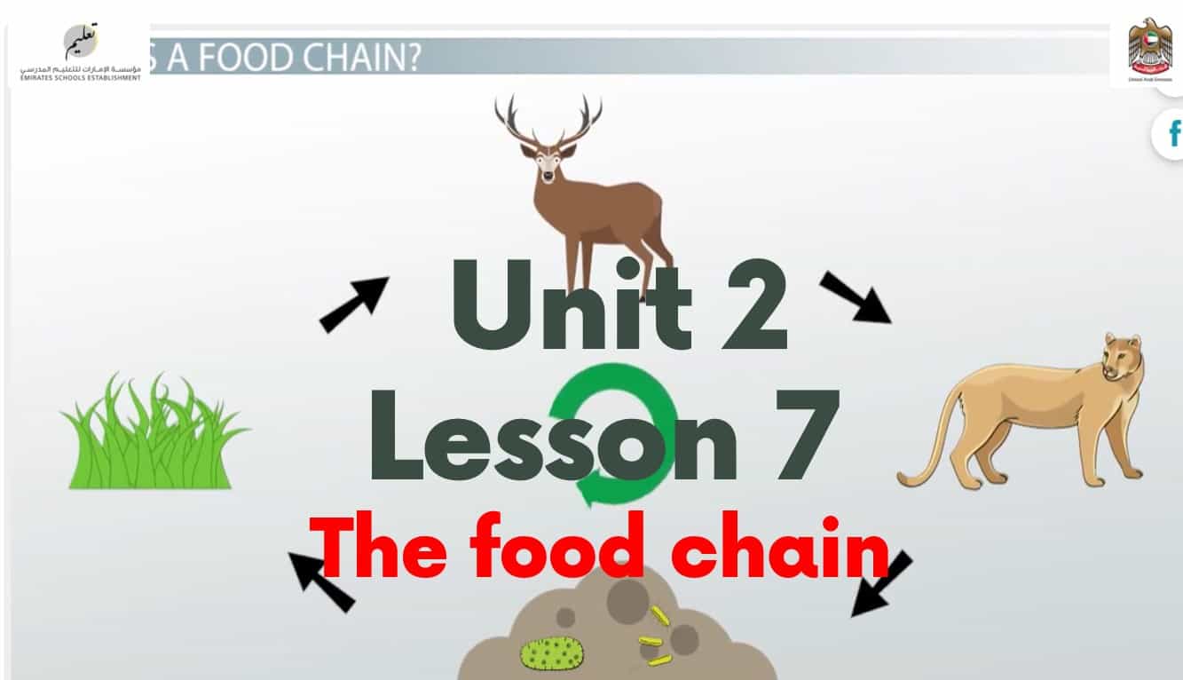 درس The food chain اللغة الإنجليزية الصف التاسع - بوربوينت