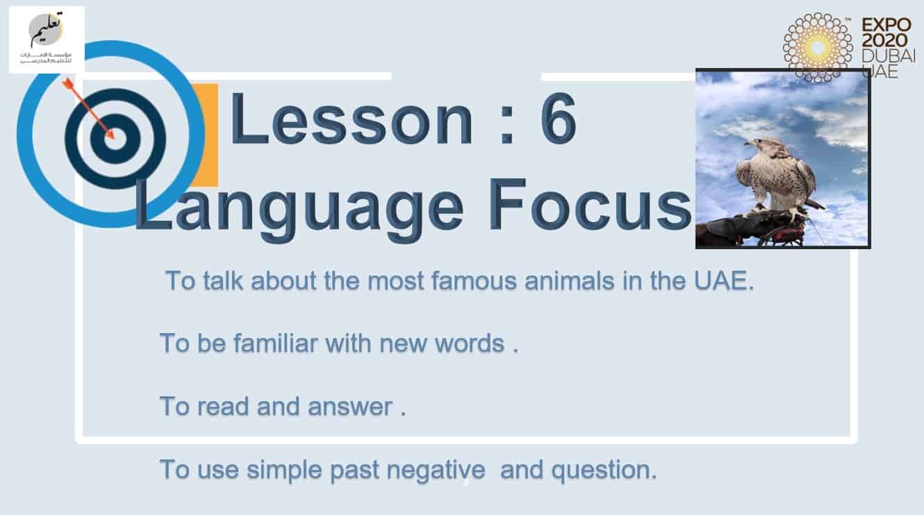 حل درس Language Focus اللغة الإنجليزية الصف الثامن - بوربوينت