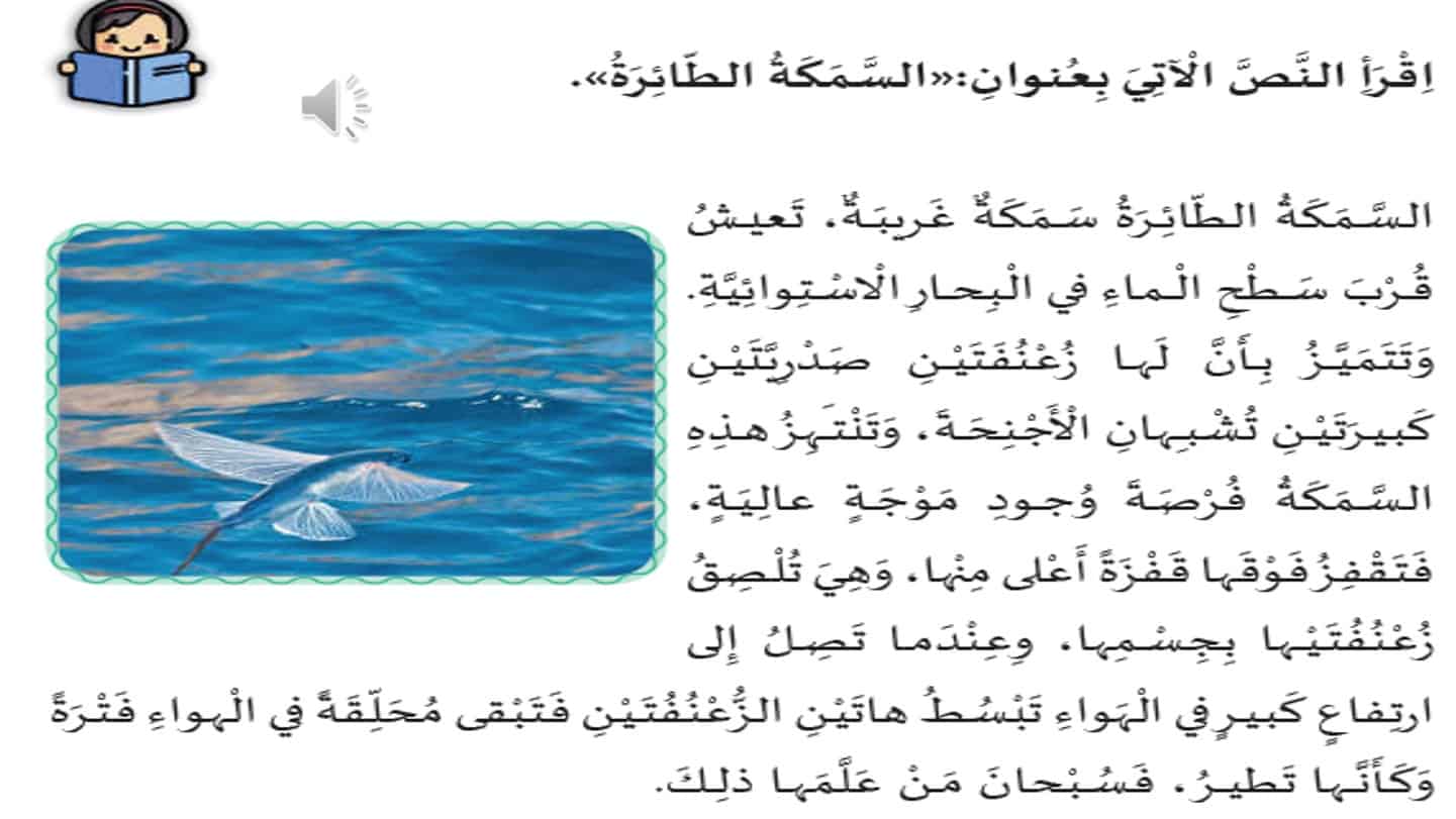 اختبار قصير السمكة الطائرة اللغة العربية الصف الخامس - بوربوينت