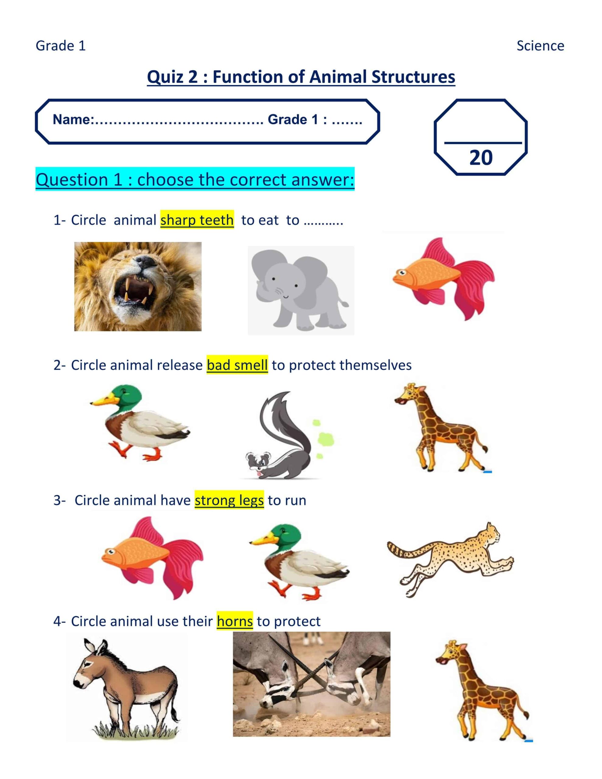 ورقة عمل Function of Animal Structures العلوم المتكاملة الصف الأول