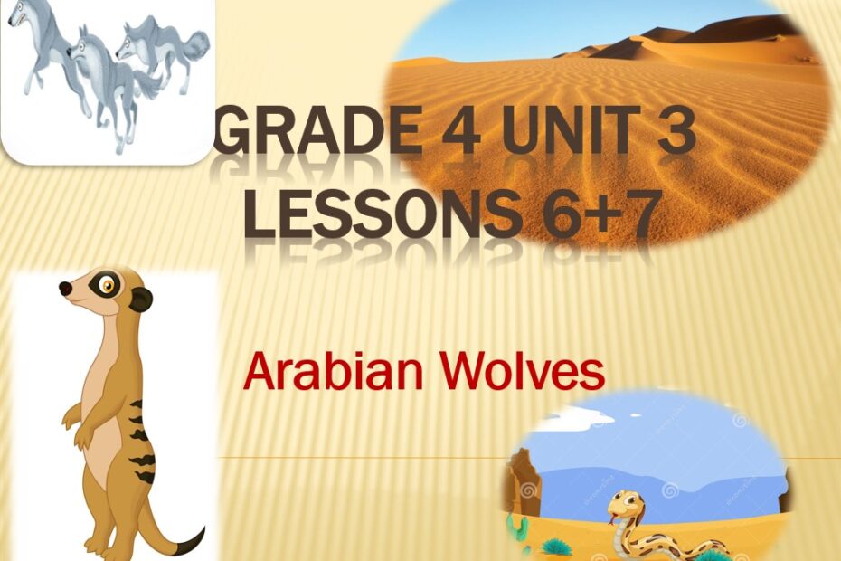 حل درس Arabian Wolves اللغة الإنجليزية الصف الرابع - بوربوينت