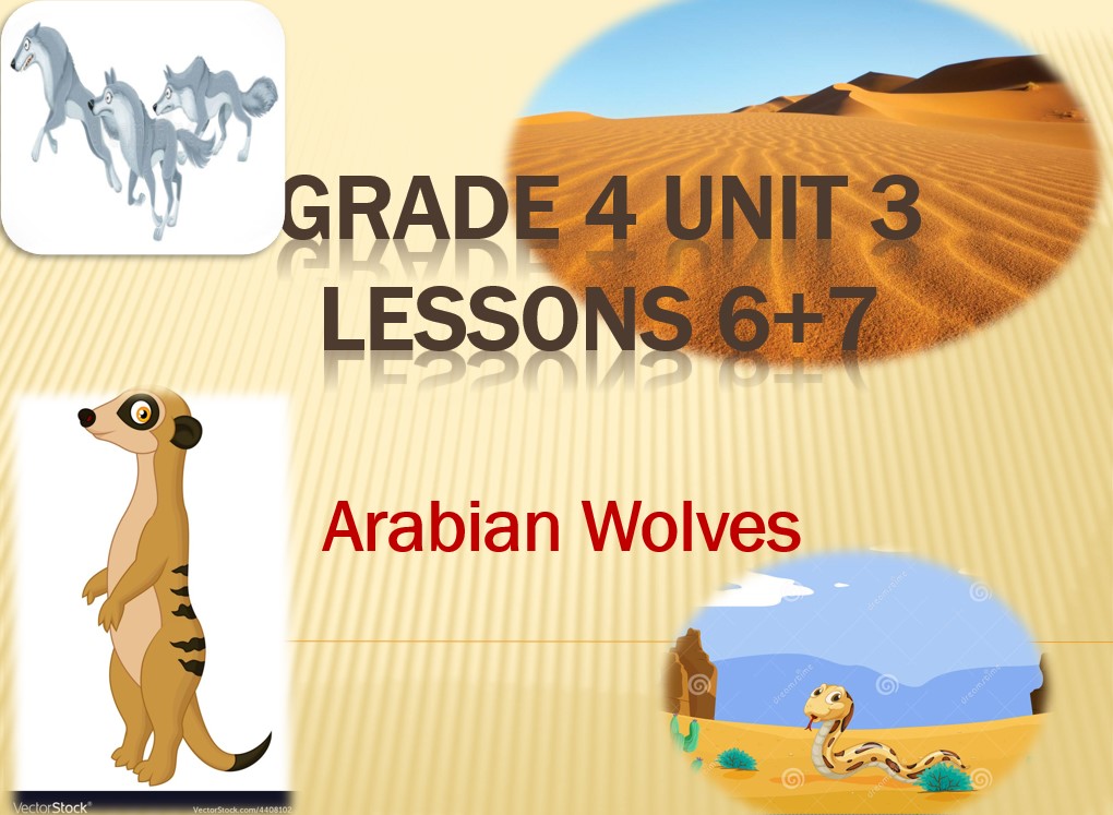 حل درس Arabian Wolves اللغة الإنجليزية الصف الرابع - بوربوينت 