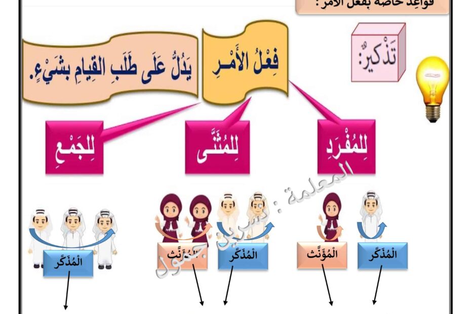 شرح فعل الأمر اللغة العربية الصف الثالث