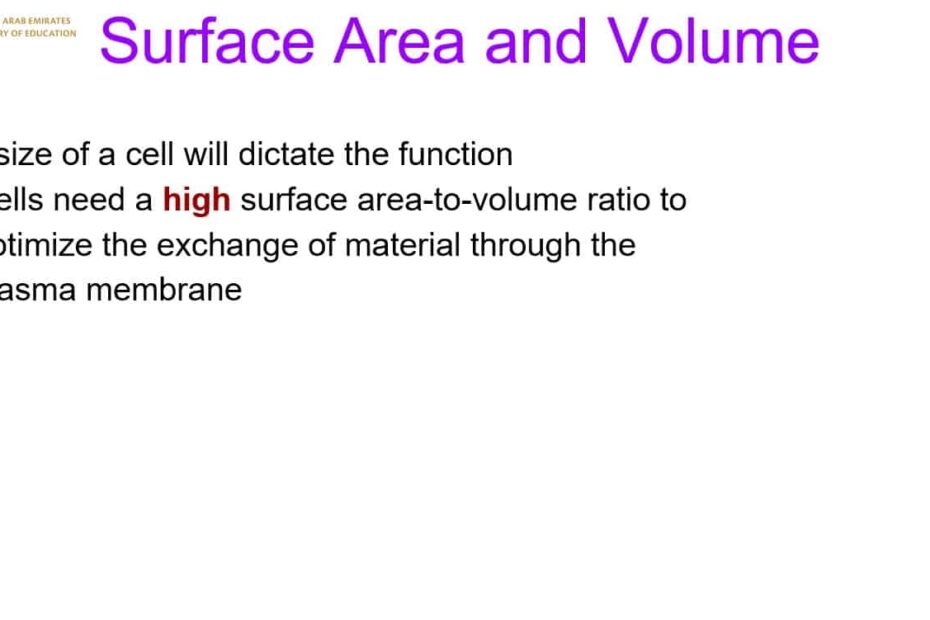 درس Surface Area and Volume الأحياء الصف العاشر نخبة - بوربوينت