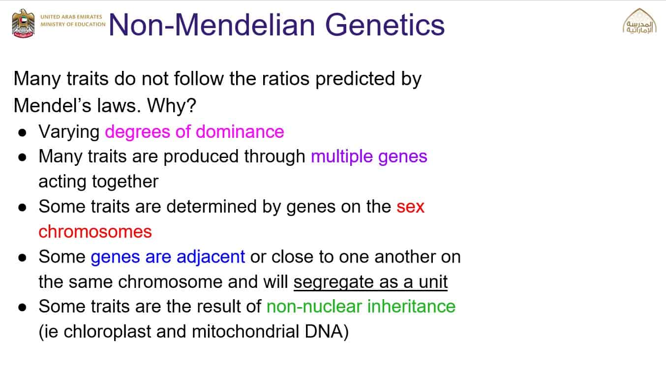 درس Non-Mendelian Genetics الأحياء الصف العاشر نخبة - بوربوينت