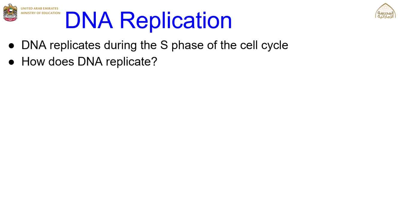 درس DNA Replication الأحياء الصف العاشر نخبة - بوربوينت