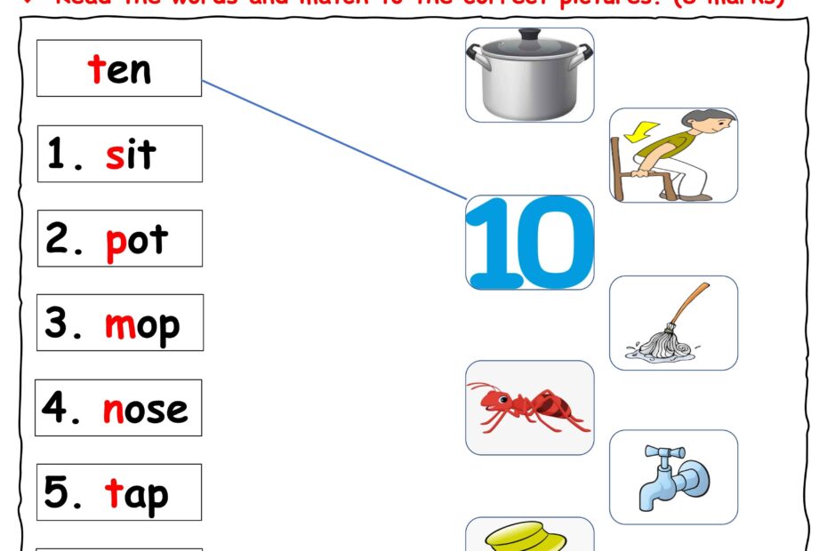 اختبار Reading test اللغة الإنجليزية الصف الأول