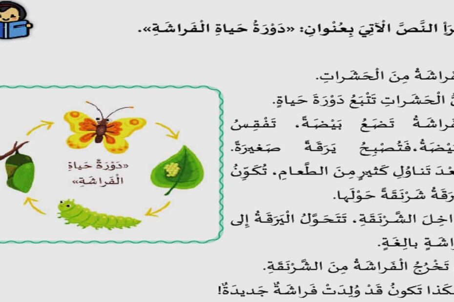 اختبار قصير دورة حياة الفراشة اللغة العربية الصف الخامس – بوربوينت
