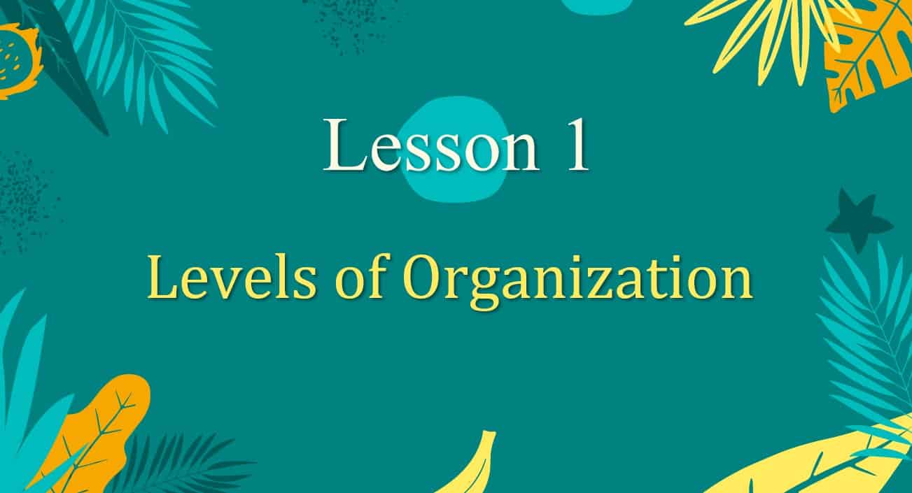 درس Levels of Organization العلوم المتكاملة الصف السابع Elite - بوربوينت 