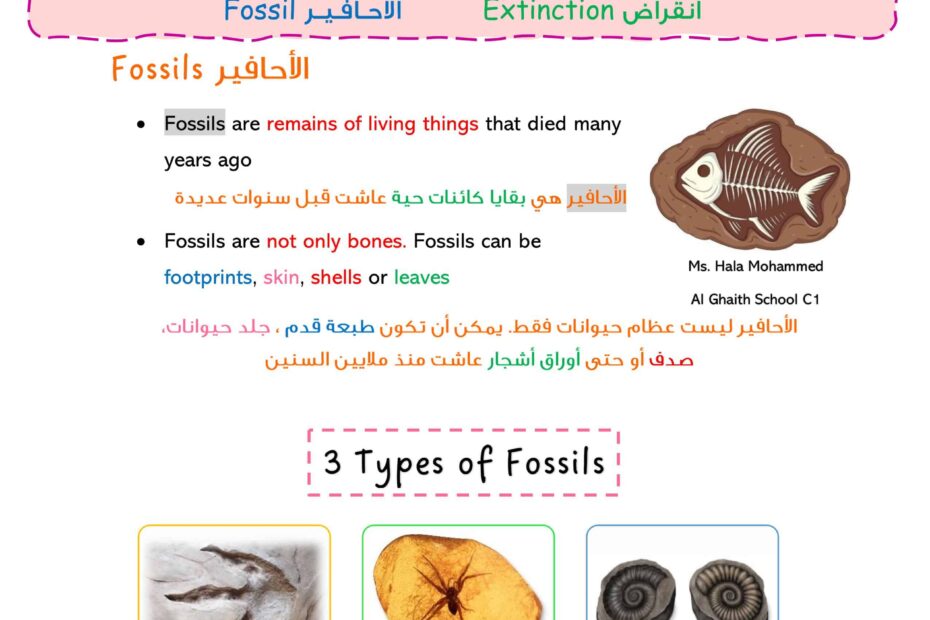 ملخص درس Fossils العلوم المتكاملة الصف الثالث