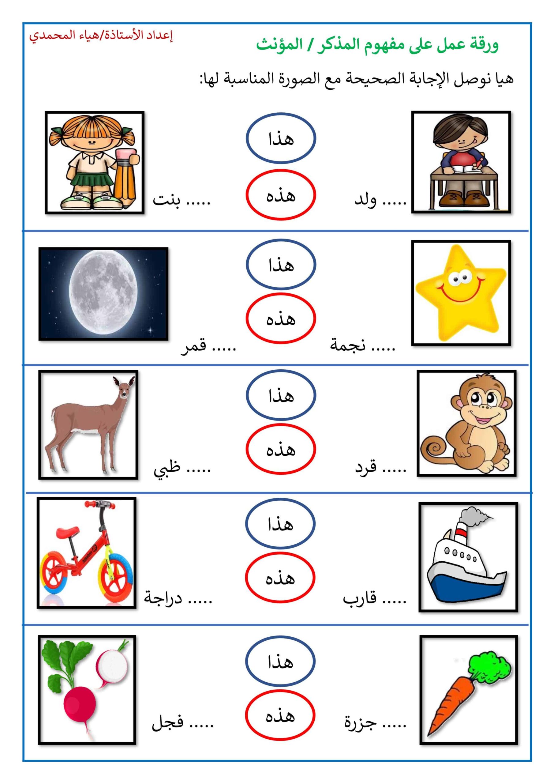 ورقة عمل على مفهوم المذكر والمؤنث اللغة العربية الصف الأول