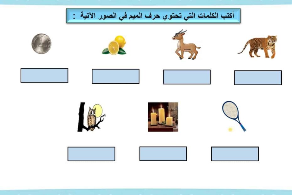 أوراق عمل حرف الميم اللغة العربية الصف الأول - بوربوينت