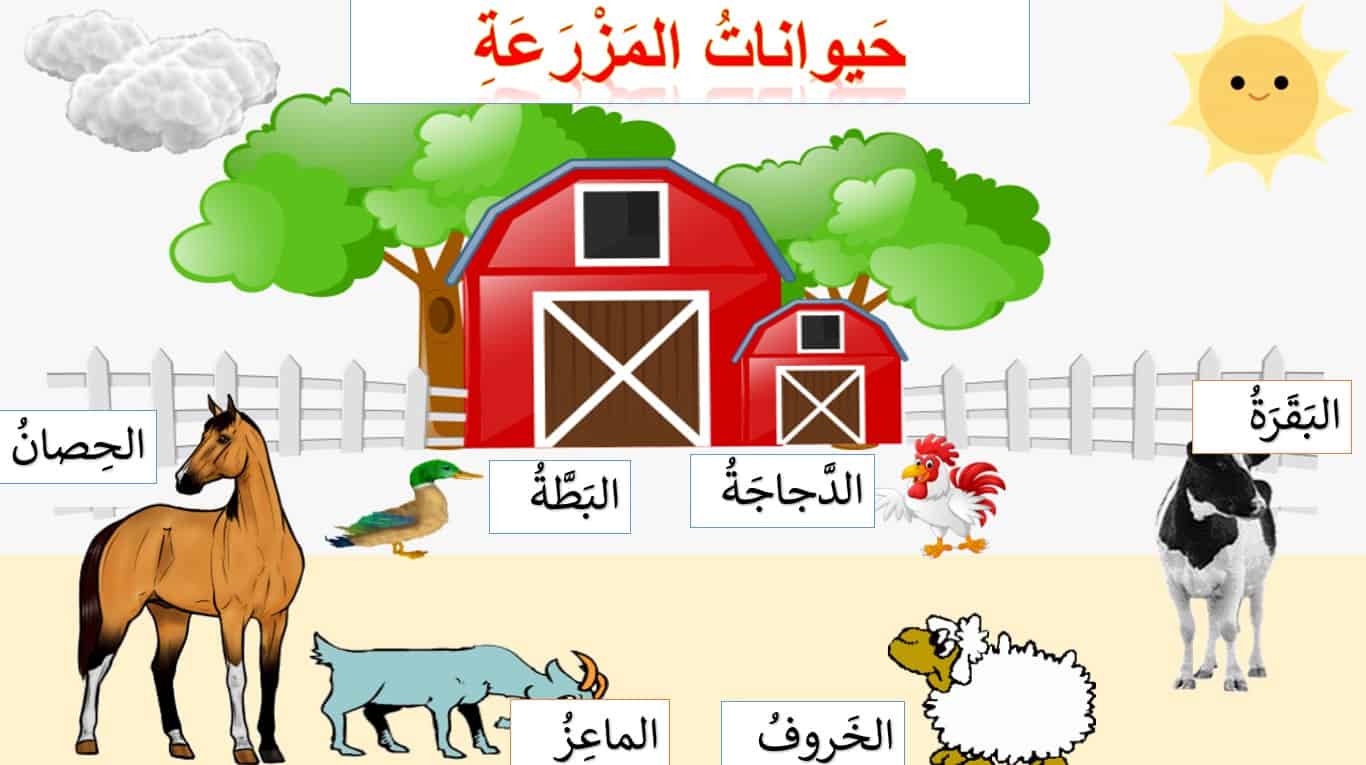 قراءة درس في المزرعة لغير الناطقين بها اللغة العربية الصف الثالث - بوربوينت