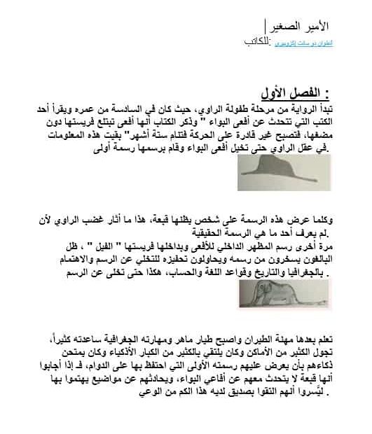 ملخص قصة الأمير الصغير اللغة العربية الصف الثاني عشر