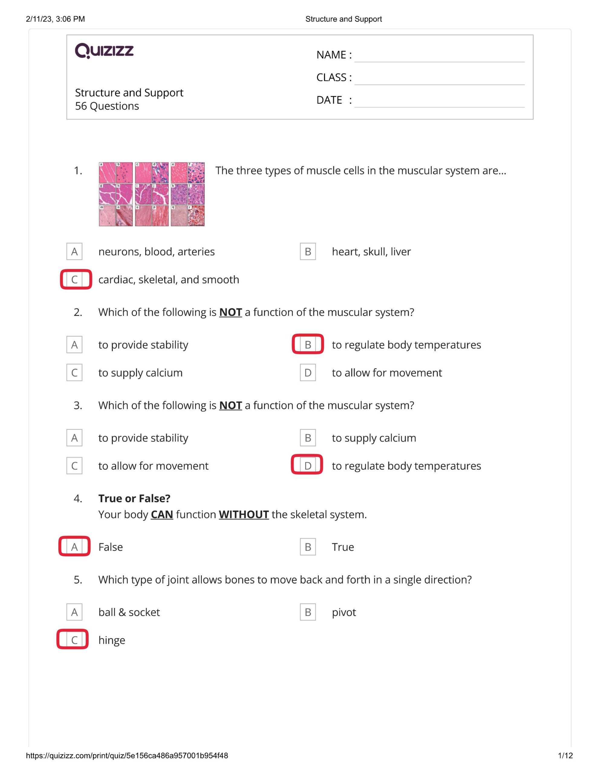 حل أوراق عمل structure and support العلوم المتكاملة الصف السادس