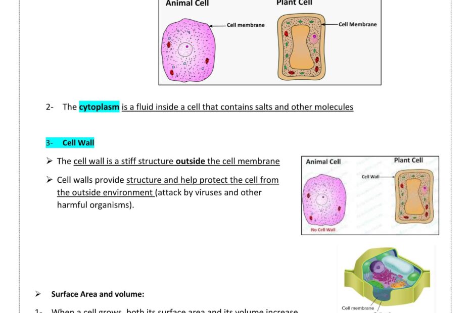 ملخص Cell structure and function العلوم المتكاملة الصف السادس
