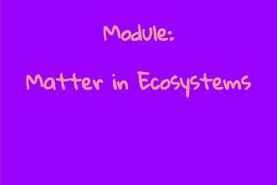 ملخص Matter in Ecosystems العلوم المتكاملة الصف الخامس