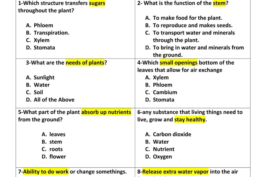 اختبار درس Plants survival العلوم المتكاملة الصف الخامس