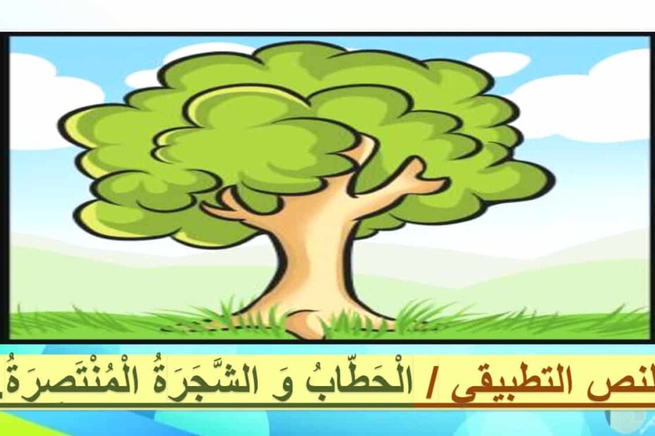 حل درس النص التطبيقي الحطاب والشجرة المنتصرة اللغة العربية الصف الثالث - بوربوينت