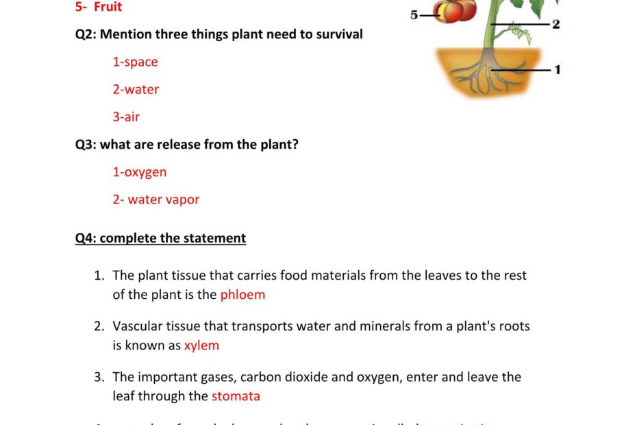 حل أوراق عمل Plants survival العلوم المتكاملة الصف الخامس