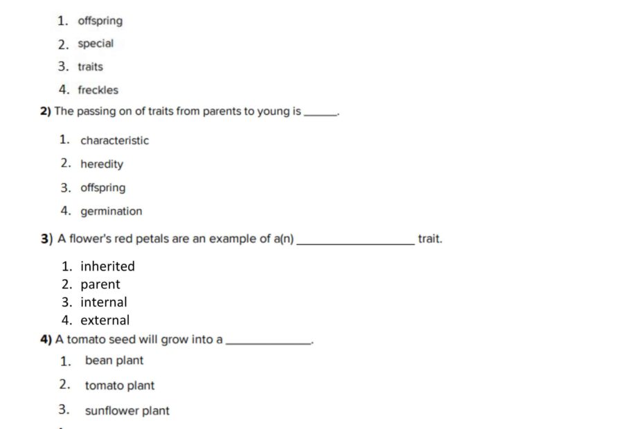 أوراق عمل Plant Traits العلوم المتكاملة الصف الثالث