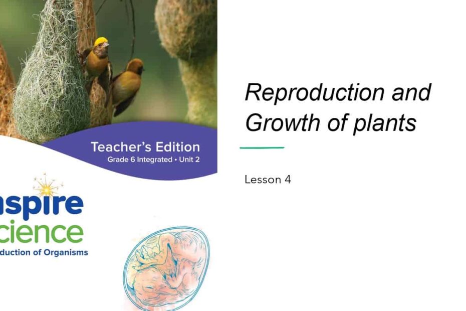 حل درس Reproduction and Growth of plants العلوم المتكاملة الصف السادس - بوربوينت