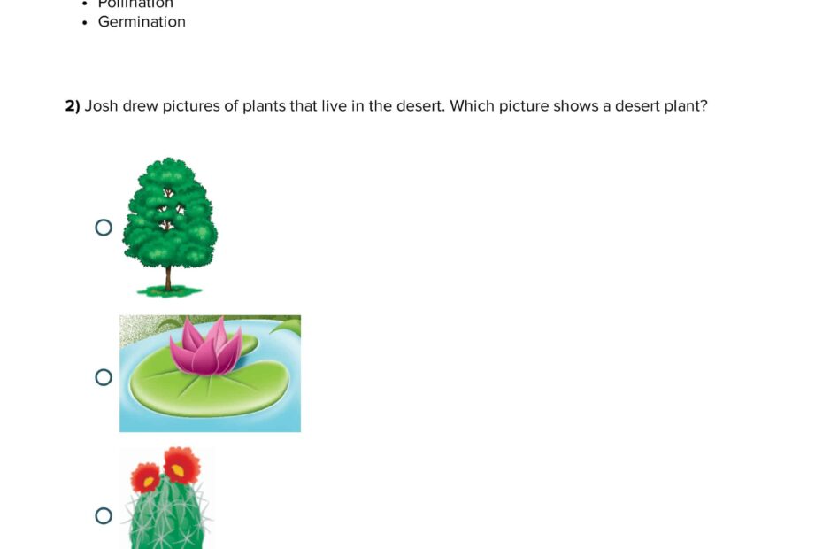 ورقة عمل Plants العلوم المتكاملة الصف الثالث