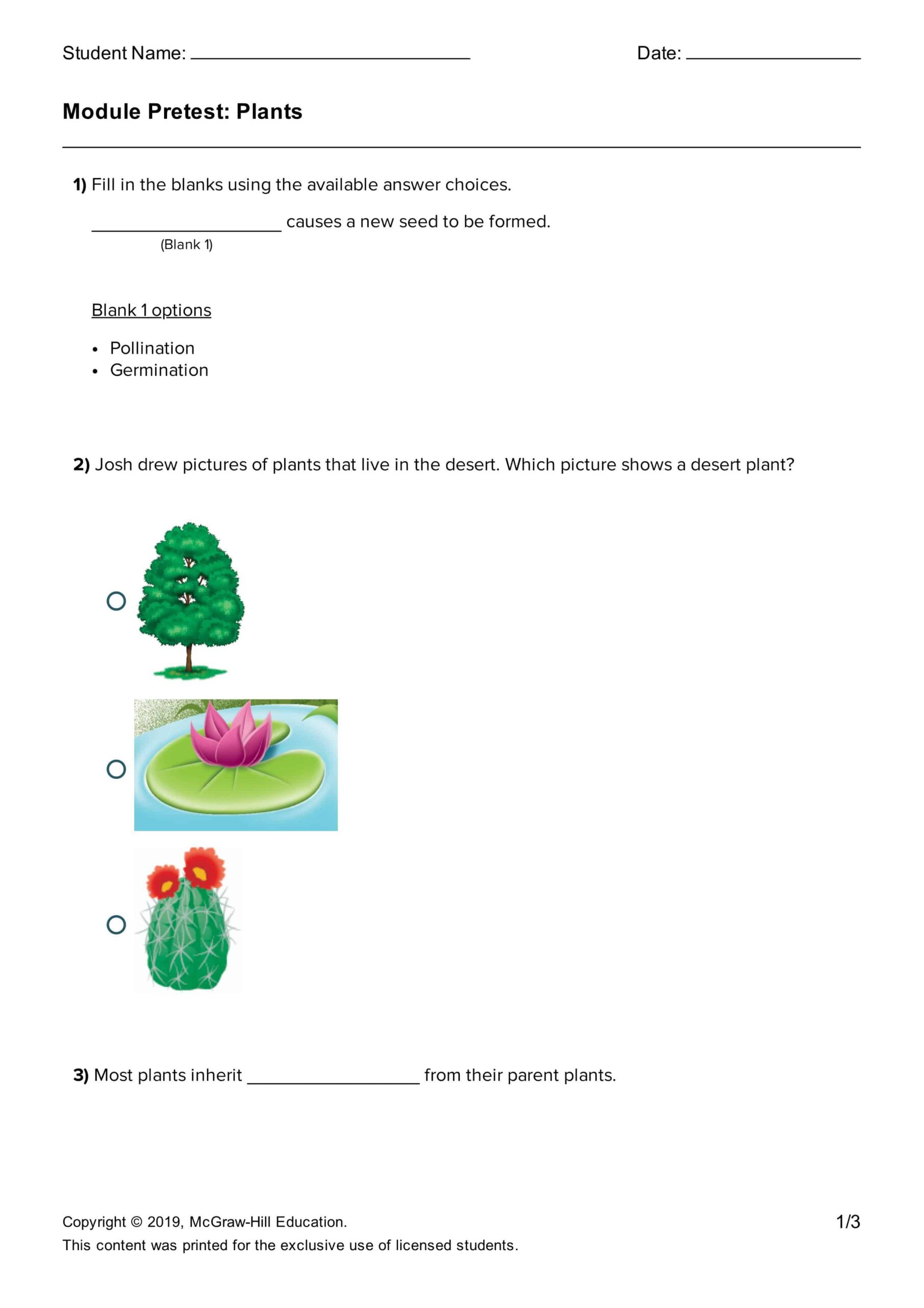 ورقة عمل Plants العلوم المتكاملة الصف الثالث