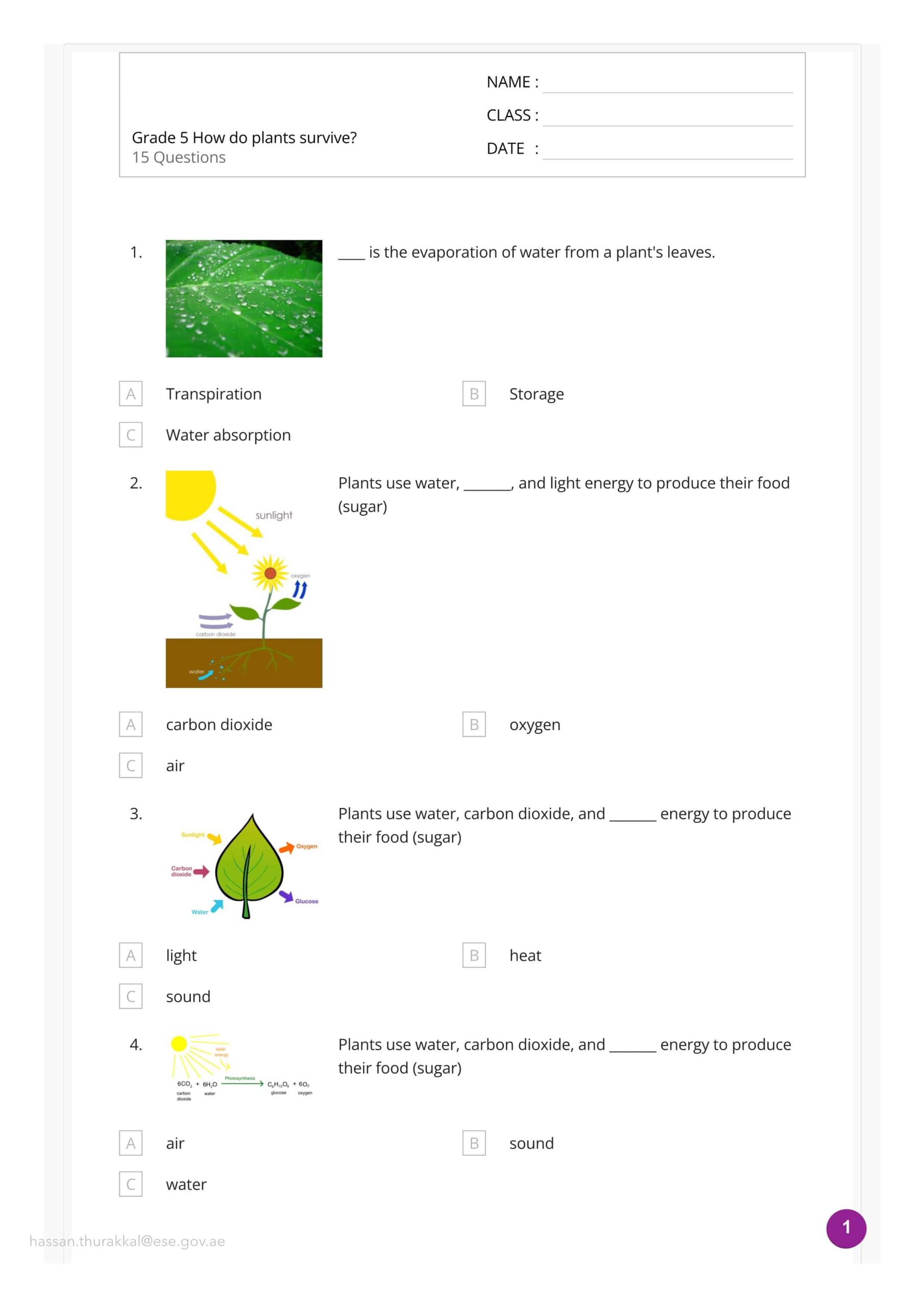 أوراق عمل Plant survival العلوم المتكاملة الصف الخامس