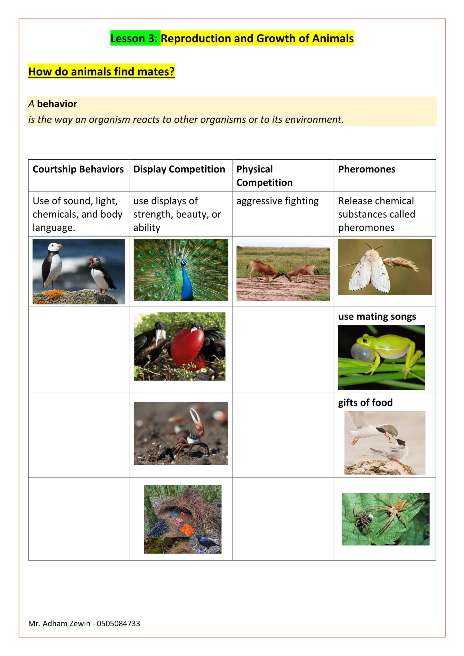 أوراق عمل Reproduction and Growth of Animals العلوم المتكاملة الصف السادس 