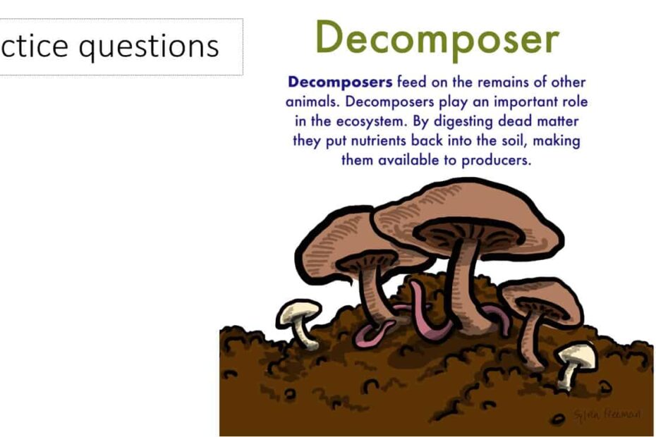 حل تدريبات decomposer العلوم المتكاملة الصف الخامس - بوربوينت