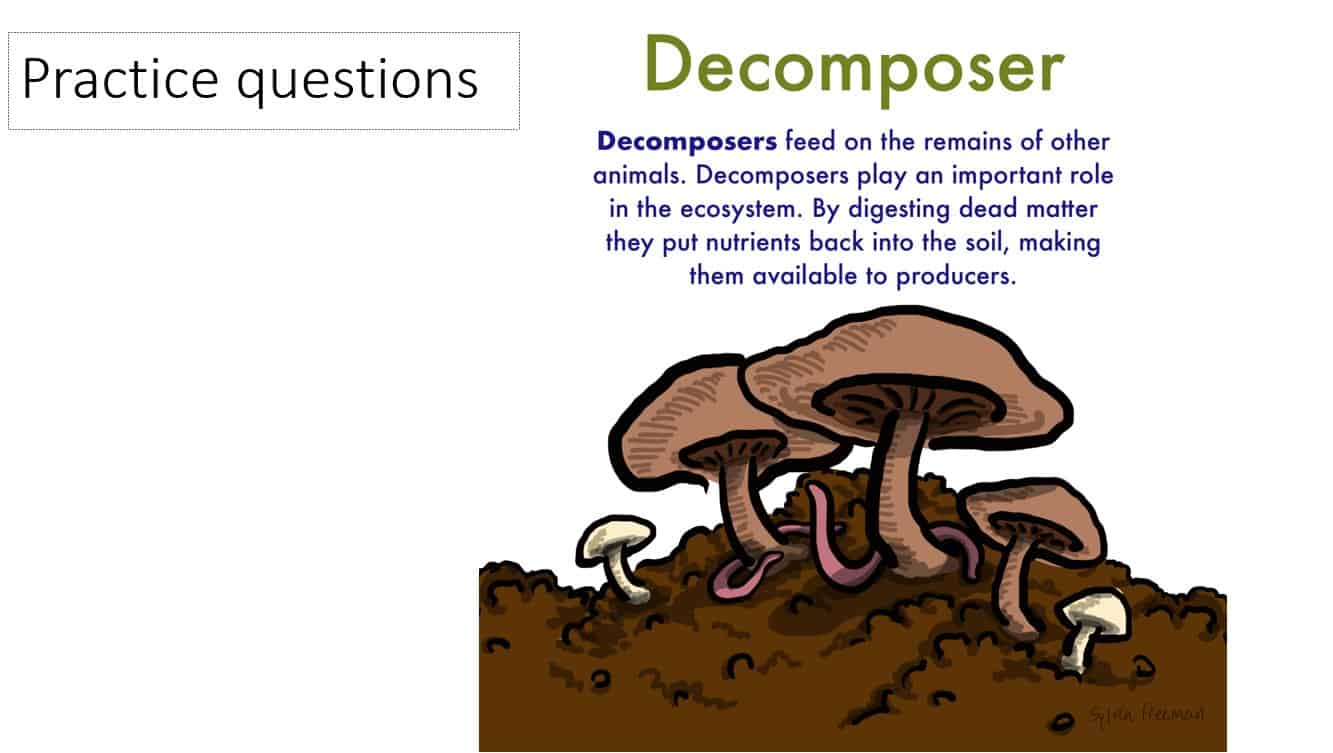 حل تدريبات decomposer العلوم المتكاملة الصف الخامس - بوربوينت 