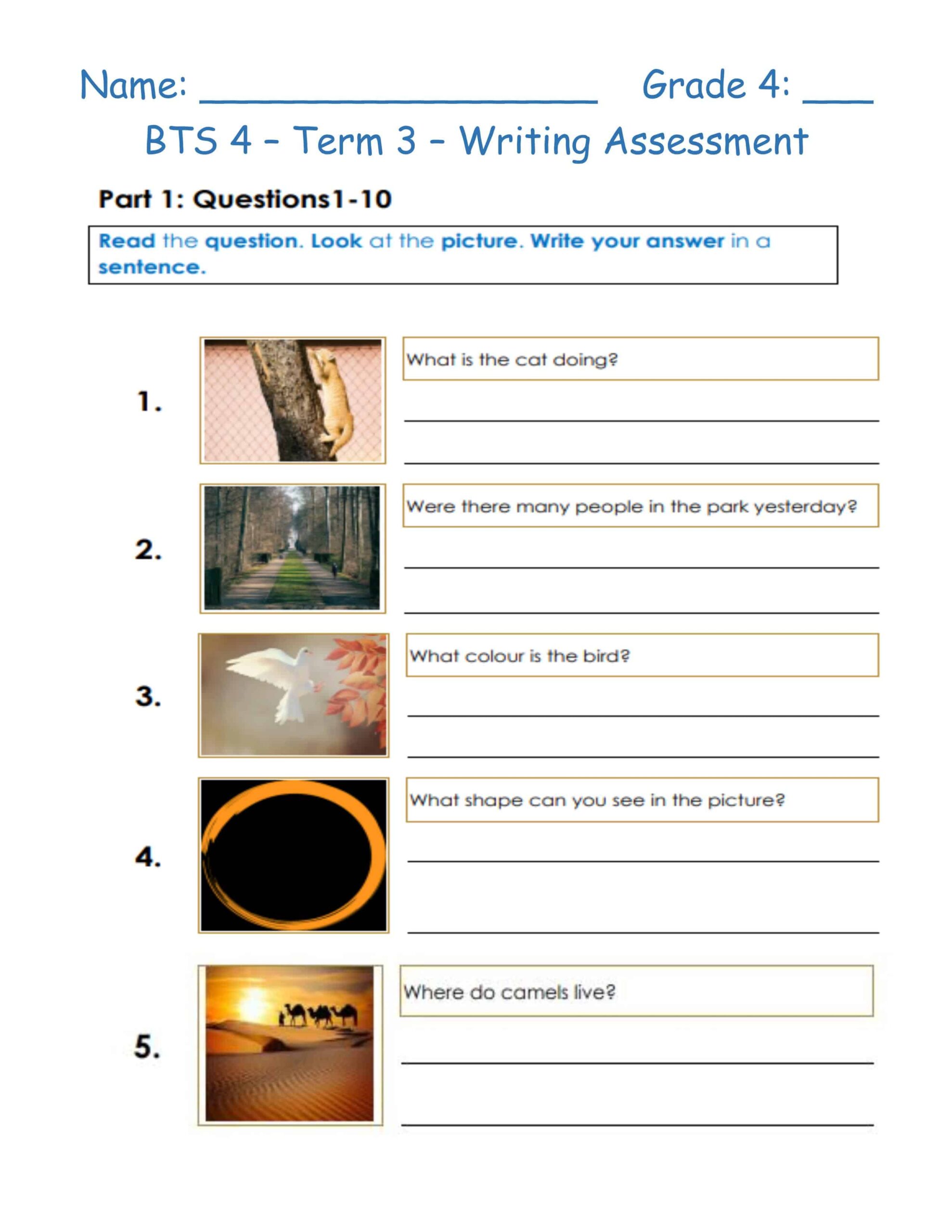 ورقة عمل Writing Assessment اللغة الإنجليزية الصف الرابع