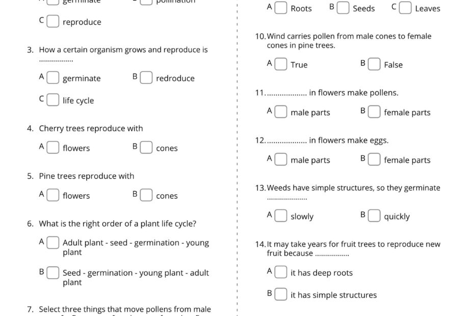 ورقة عمل Plants Life العلوم المتكاملة الصف الثالث