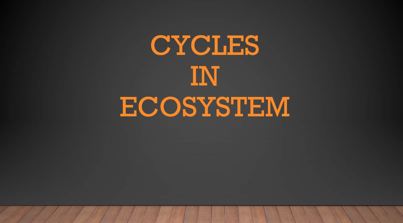 درس Cycles in ecosystem العلوم المتكاملة الصف الخامس - بوربوينت 