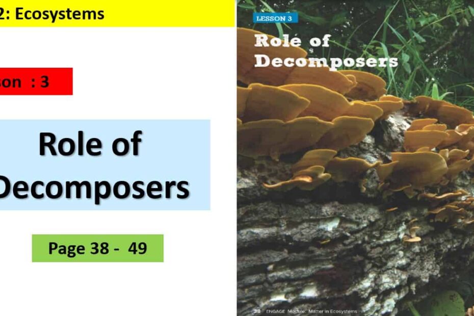 حل درس Role of decomposers العلوم المتكاملة الصف الخامس - بوربوينت