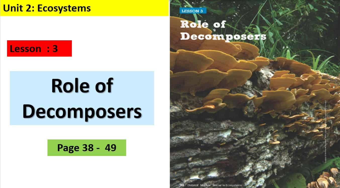 حل درس Role of decomposers العلوم المتكاملة الصف الخامس - بوربوينت