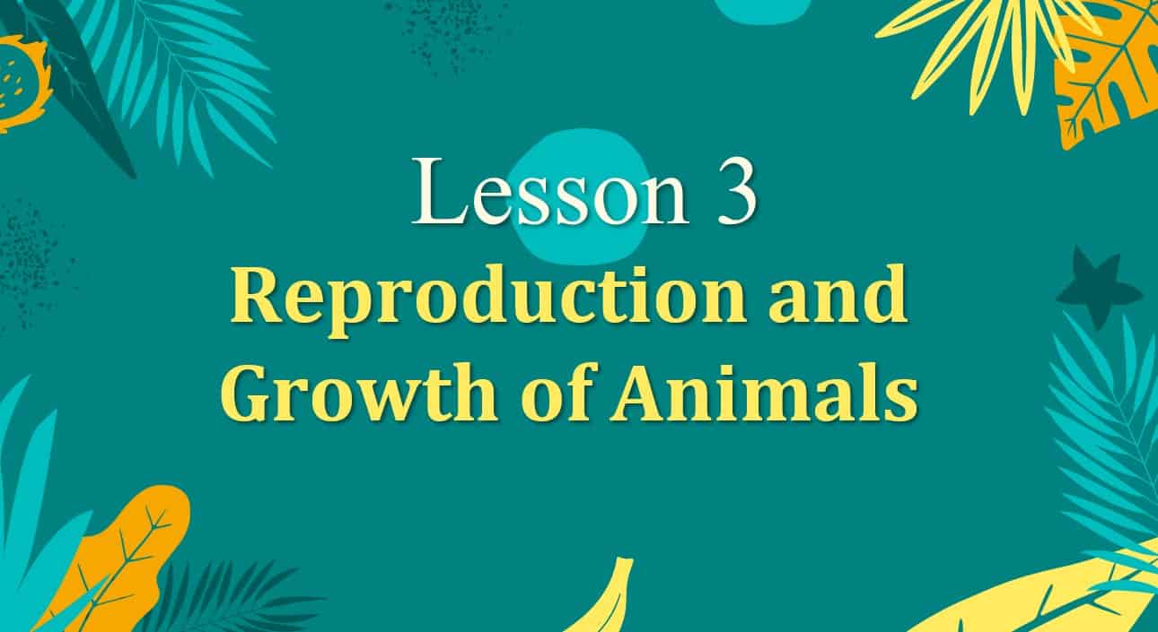 حل درس Reproduction and Growth of Animals العلوم المتكاملة الصف السادس - بوربوينت