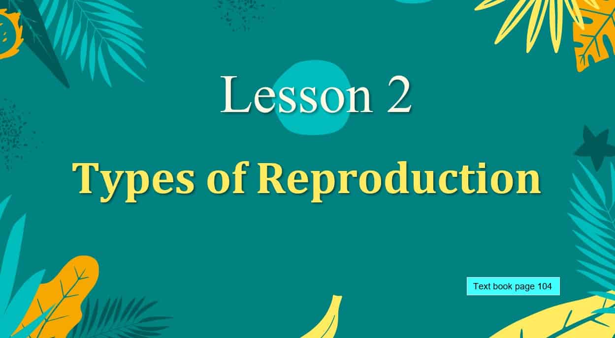 حل درس Types of Reproduction العلوم المتكاملة الصف السادس - بوربوينت