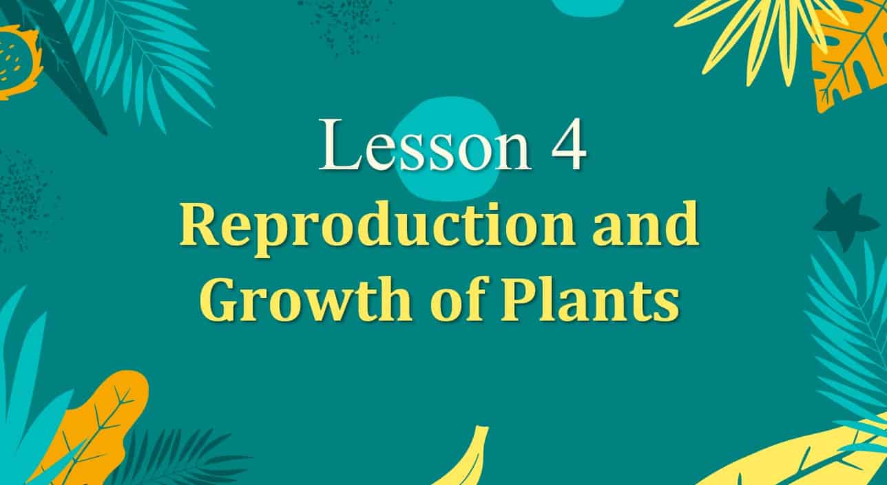 حل درس Reproduction and Growth of Plants العلوم المتكاملة الصف السادس - بوربوينت