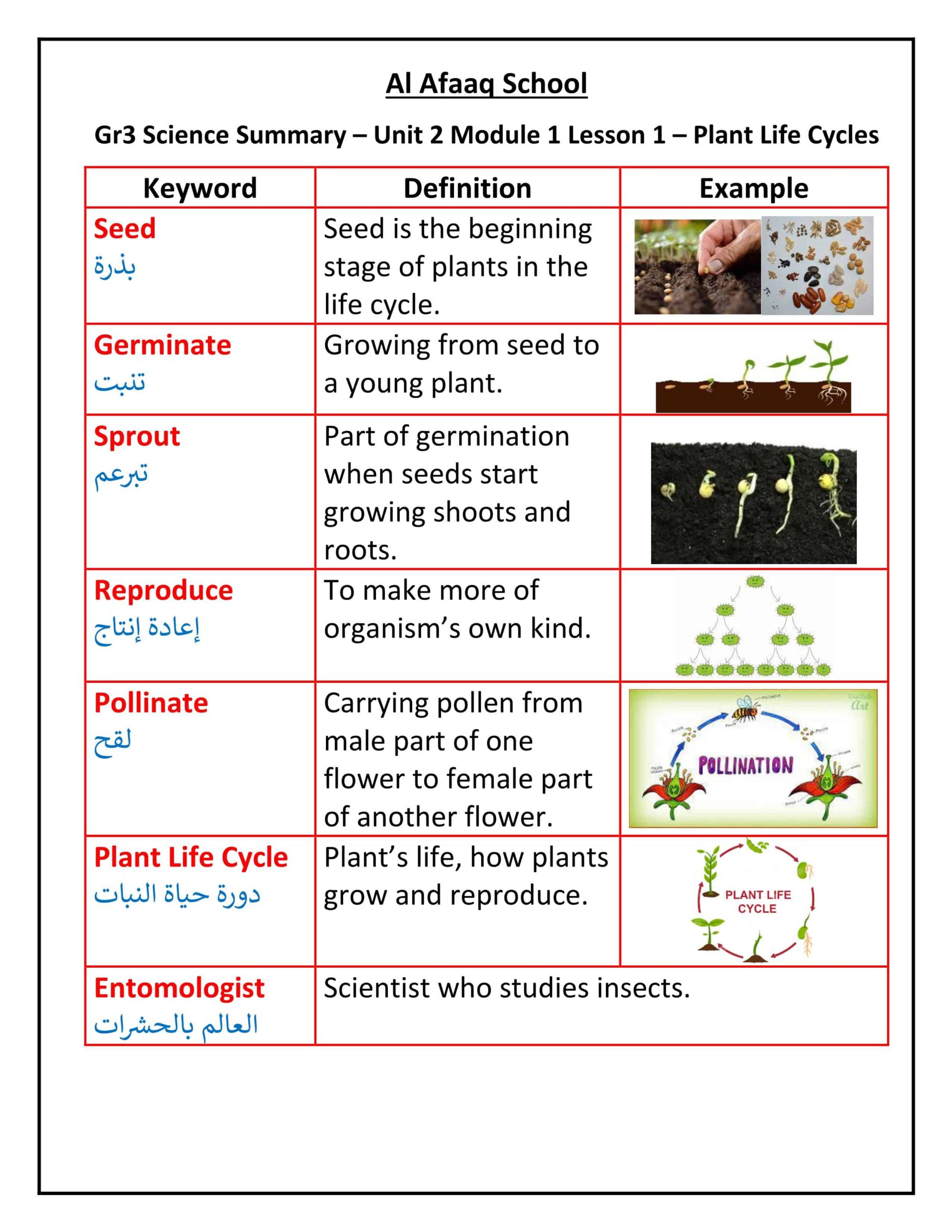ملخص درس Plant Life Cycles العلوم المتكاملة الصف الثالث