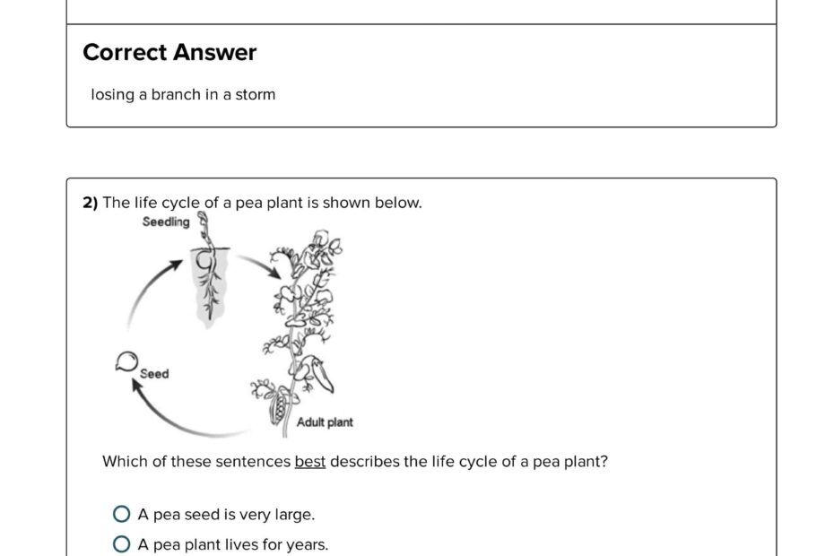 حل أوراق عمل Plant Life Cycles العلوم المتكاملة الصف الثالث