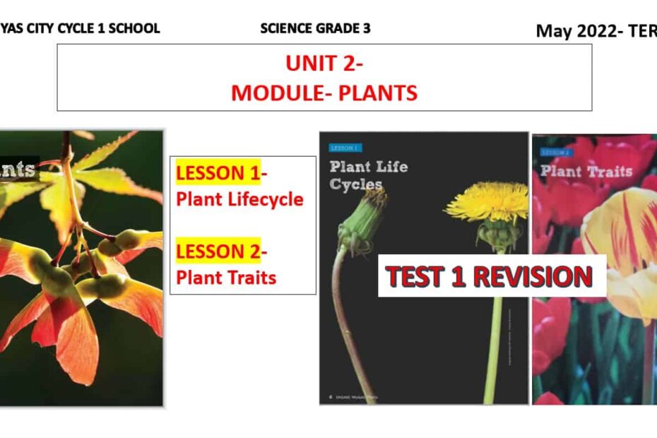 مراجعة درس Plant Lifecycle و Plant Traits العلوم المتكاملة الصف الثالث - بوربوينت