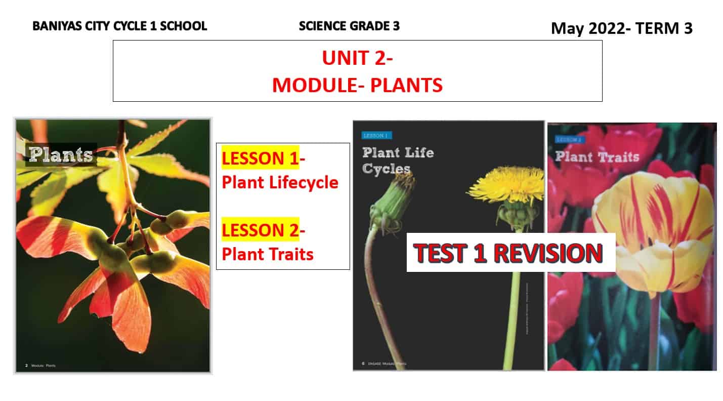 مراجعة درس Plant Lifecycle و Plant Traits العلوم المتكاملة الصف الثالث - بوربوينت 