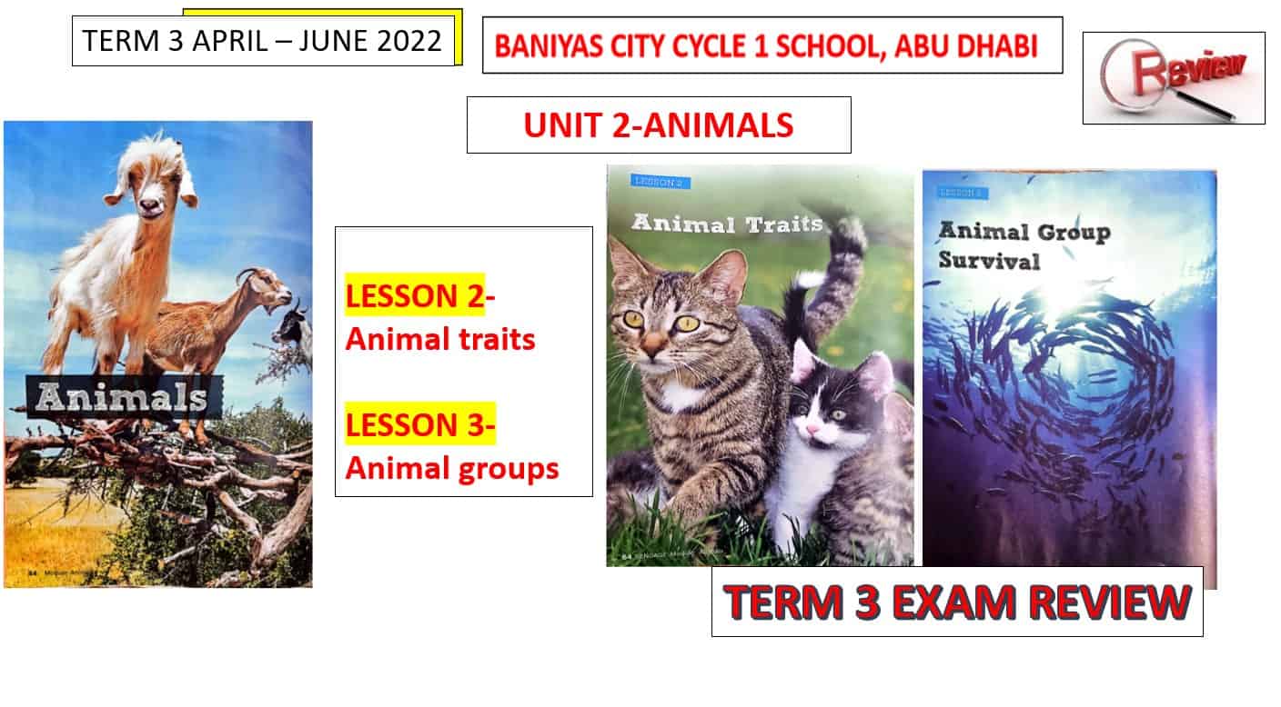 مراجعة درس Animal traits و Animal groups العلوم المتكاملة الصف الثالث - بوربوينت 