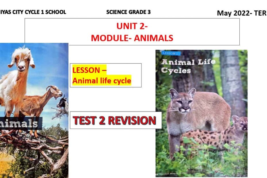 مراجعة درس Animal life cycle العلوم المتكاملة الصف الثالث - بوربوينت